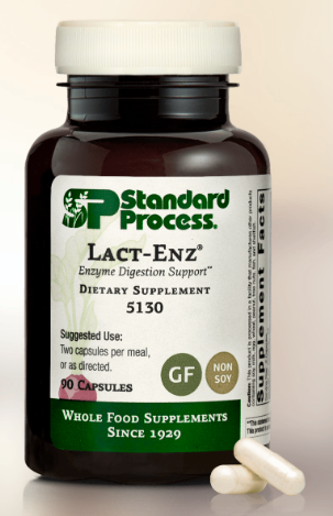 Lact-Enz - 90 capsules - Standard Process
