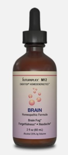 Brain